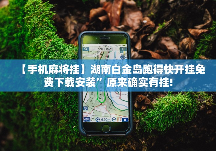 教程开挂辅助：“吉祥游戏吉祥棋牌输赢是谁控制的”其实确实有挂