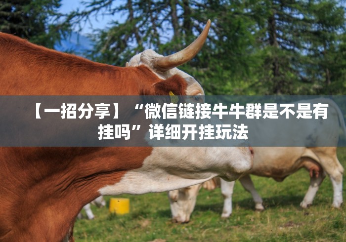 分析实测“牵手跑胡子怎么提高好牌几率!专业师傅带你一起了解(确实有挂)