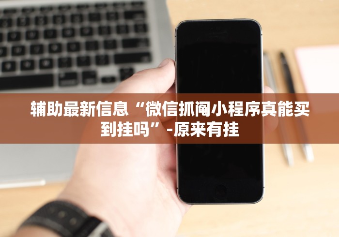 辅助最新信息“微信抓阄小程序真能买到挂吗”-原来有挂