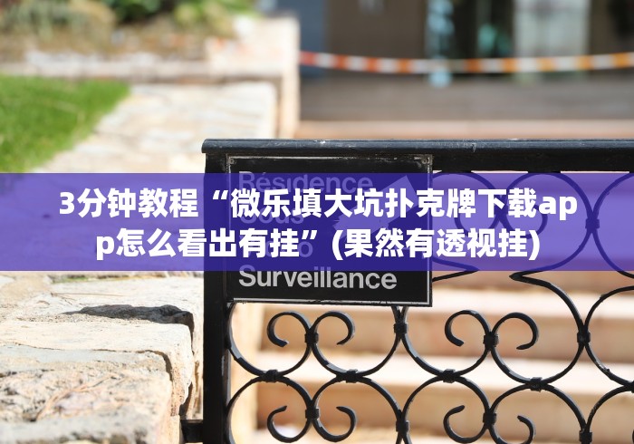 玩家辅助神器：“永州双王跑胡子红黑怎样开挂安卓”真的有挂