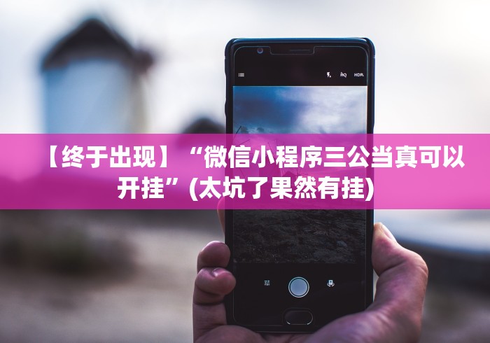 【终于出现】“微信小程序三公当真可以开挂”(太坑了果然有挂)
