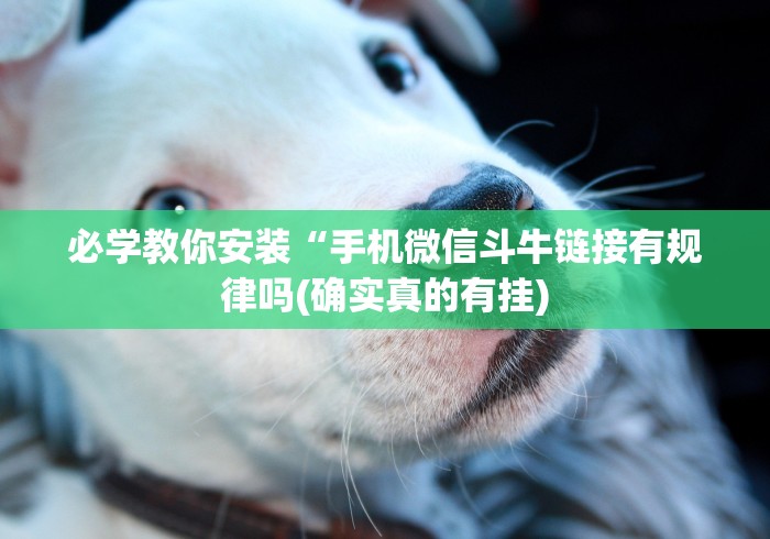 必学教你安装“手机微信斗牛链接有规律吗(确实真的有挂)