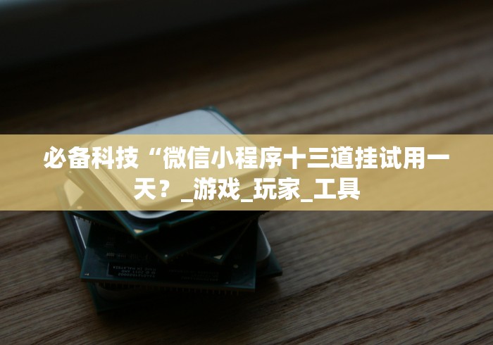 必备科技“微信小程序十三道挂试用一天？_游戏_玩家_工具