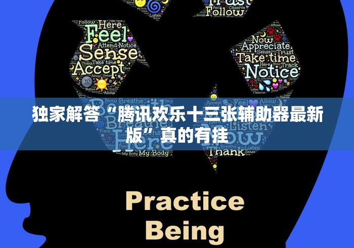 独家解答“腾讯欢乐十三张辅助器最新版”真的有挂