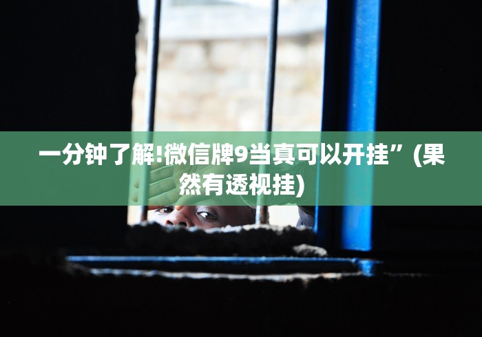 【最新科普】游易十三水怎么看是否开挂了”(原来确实是有插件)