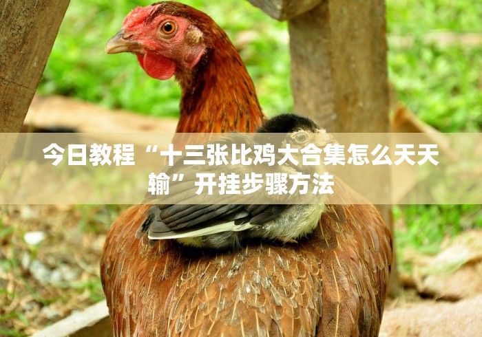 【出现一款新型】“闲玩棋牌填大坑有挂吗!分享用挂教程