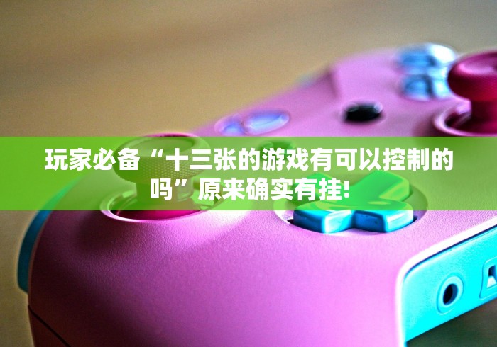 玩家必备“十三张的游戏有可以控制的吗”原来确实有挂!