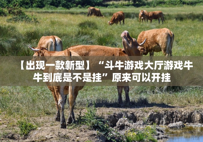【出现一款新型】“斗牛游戏大厅游戏牛牛到底是不是挂”原来可以开挂