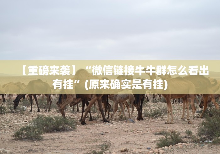 【重磅来袭】“微信链接牛牛群怎么看出有挂”(原来确实是有挂)