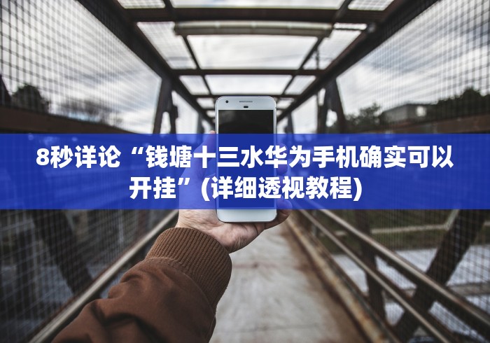 8秒详论“钱塘十三水华为手机确实可以开挂”(详细透视教程)