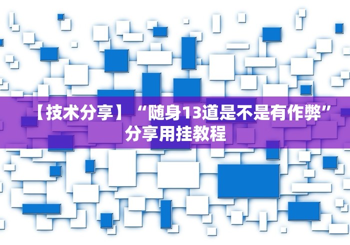 【技术分享】“随身13道是不是有作弊”分享用挂教程