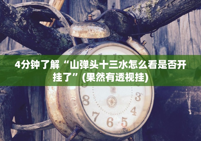 4分钟了解“山弹头十三水怎么看是否开挂了”(果然有透视挂)