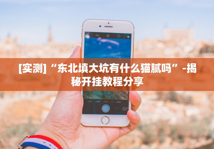 [实测]“东北填大坑有什么猫腻吗”-揭秘开挂教程分享