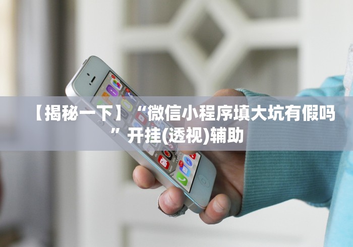 【揭秘一下】“微信小程序填大坑有假吗”开挂(透视)辅助