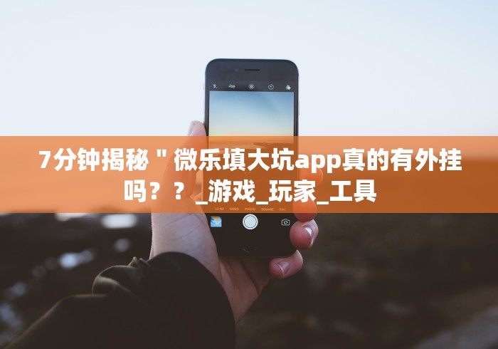 7分钟揭秘＂微乐填大坑app真的有外挂吗？？_游戏_玩家_工具
