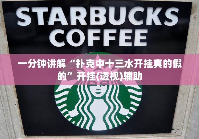 一分钟讲解“扑克中十三水开挂真的假的”开挂(透视)辅助