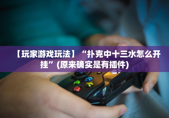 【玩家游戏玩法】“扑克中十三水怎么开挂”(原来确实是有插件)