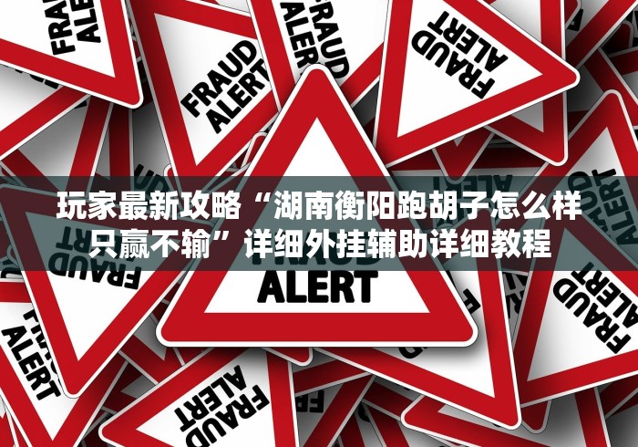 玩家最新攻略“湖南衡阳跑胡子怎么样只赢不输”详细外挂辅助详细教程