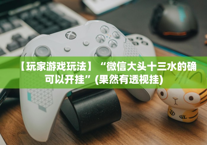 【玩家游戏玩法】“微信大头十三水的确可以开挂”(果然有透视挂)