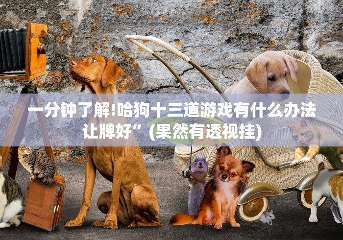 一分钟了解!哈狗十三道游戏有什么办法让牌好”(果然有透视挂)