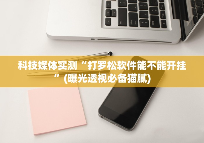 科技媒体实测“打罗松软件能不能开挂”(曝光透视必备猫腻)