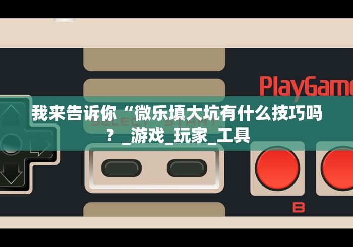 我来告诉你“微乐填大坑有什么技巧吗？_游戏_玩家_工具