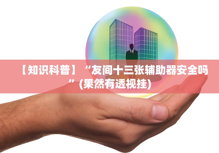 【知识科普】“友间十三张辅助器安全吗”(果然有透视挂)