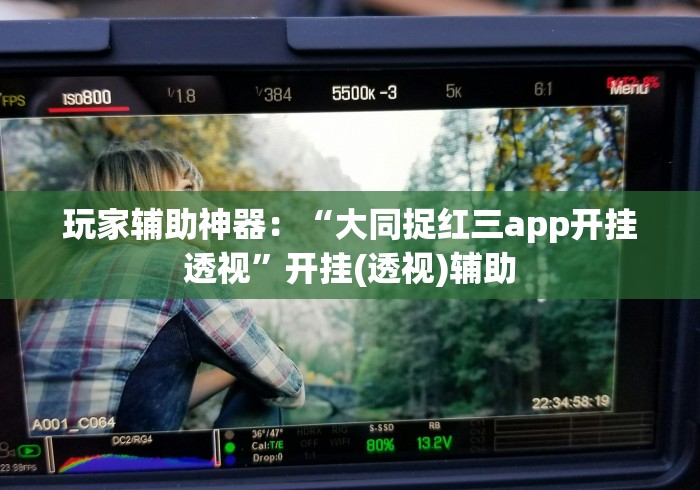 玩家辅助神器：“大同捉红三app开挂透视”开挂(透视)辅助