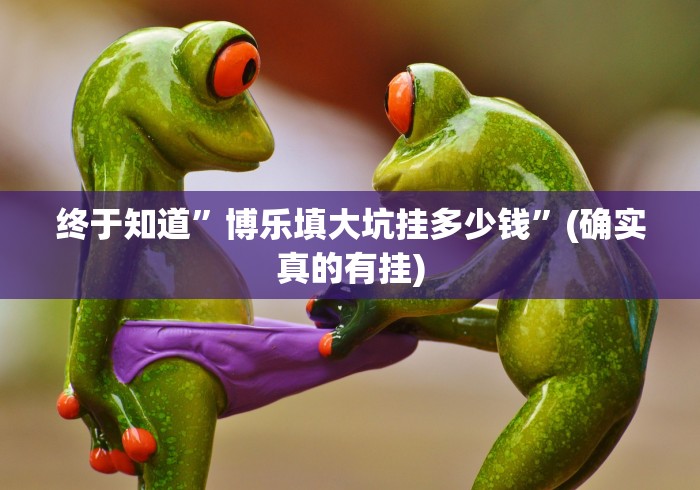 终于知道”博乐填大坑挂多少钱”(确实真的有挂)