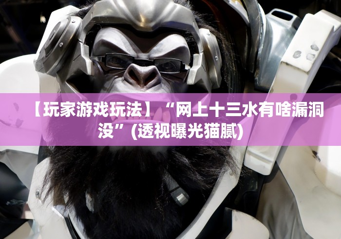 【玩家游戏玩法】“网上十三水有啥漏洞没”(透视曝光猫腻)