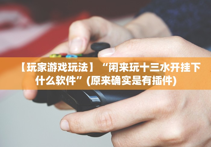 【玩家游戏玩法】“闲来玩十三水开挂下什么软件”(原来确实是有插件)