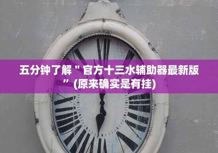 五分钟了解＂官方十三水辅助器最新版”(原来确实是有挂)