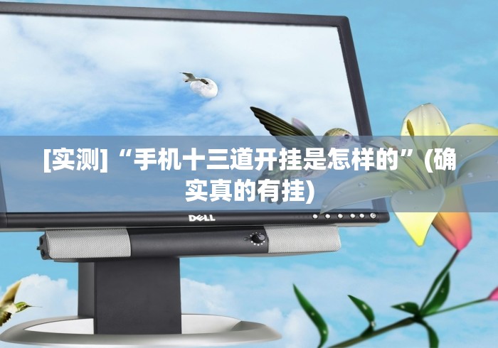 [实测]“手机十三道开挂是怎样的”(确实真的有挂)