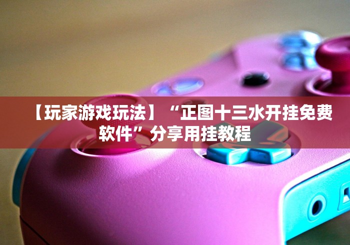 【玩家游戏玩法】“正图十三水开挂免费软件”分享用挂教程