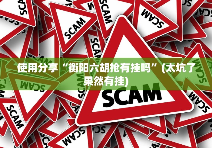 使用分享“衡阳六胡抢有挂吗”(太坑了果然有挂)