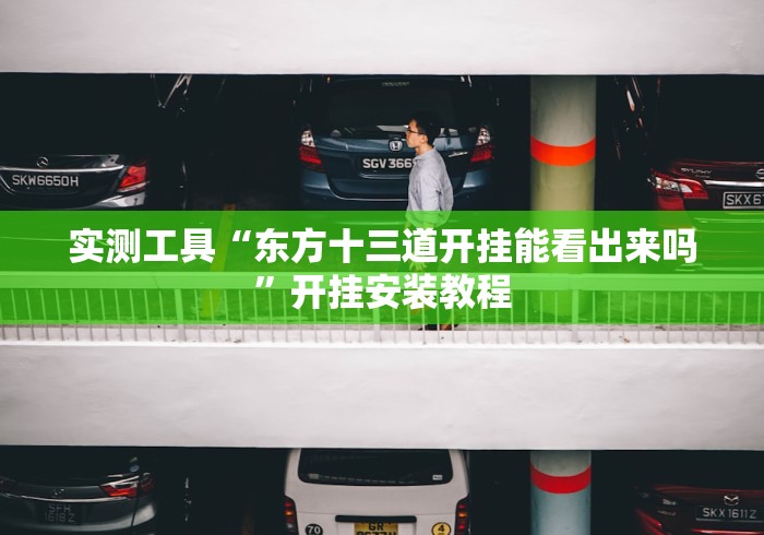 实测工具“东方十三道开挂能看出来吗”开挂安装教程