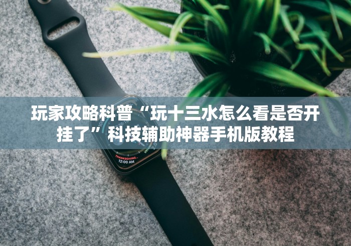 玩家攻略科普“玩十三水怎么看是否开挂了”科技辅助神器手机版教程