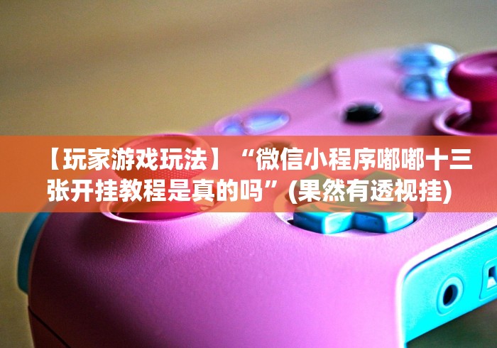 【玩家游戏玩法】“微信小程序嘟嘟十三张开挂教程是真的吗”(果然有透视挂)