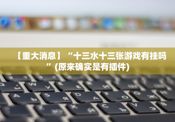 【重大消息】“十三水十三张游戏有挂吗”(原来确实是有插件)