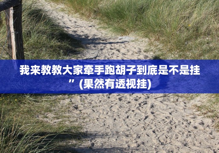 我来教教大家牵手跑胡子到底是不是挂”(果然有透视挂)