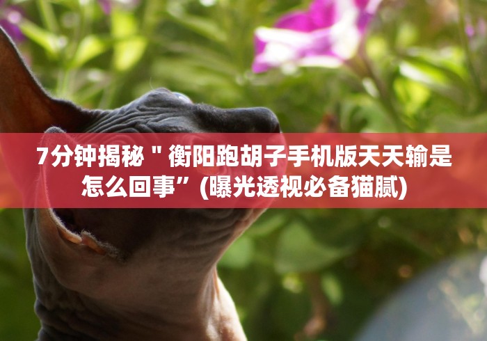 7分钟揭秘＂衡阳跑胡子手机版天天输是怎么回事”(曝光透视必备猫腻)