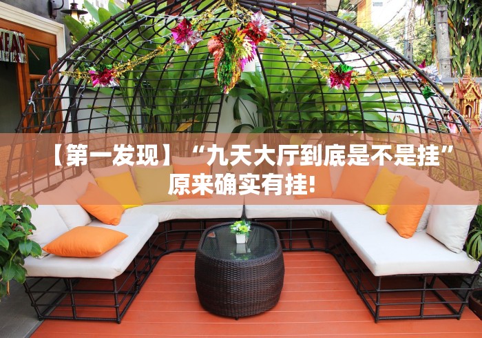 【第一发现】“九天大厅到底是不是挂”原来确实有挂!