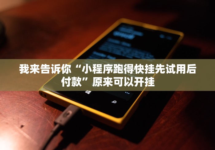 我来告诉你“小程序跑得快挂先试用后付款”原来可以开挂