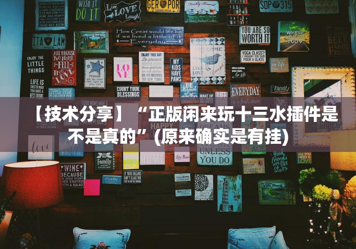 【技术分享】“正版闲来玩十三水插件是不是真的”(原来确实是有挂)