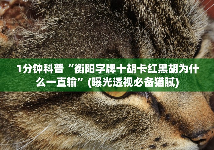 1分钟科普“衡阳字牌十胡卡红黑胡为什么一直输”(曝光透视必备猫腻)