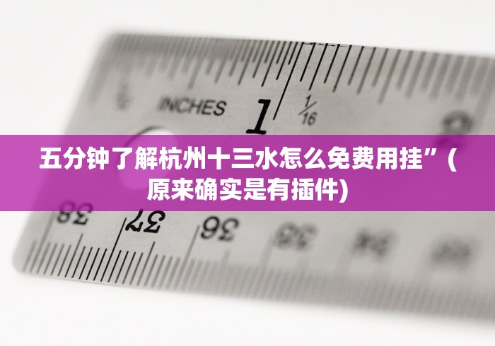 五分钟了解杭州十三水怎么免费用挂”(原来确实是有插件)