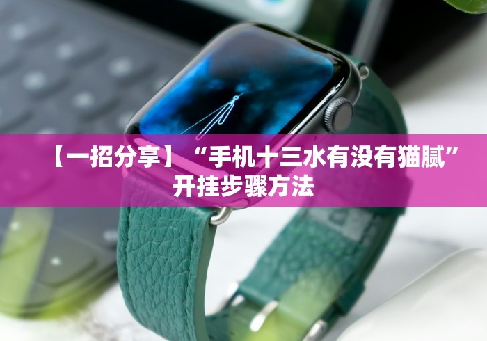 【一招分享】“手机十三水有没有猫腻”开挂步骤方法