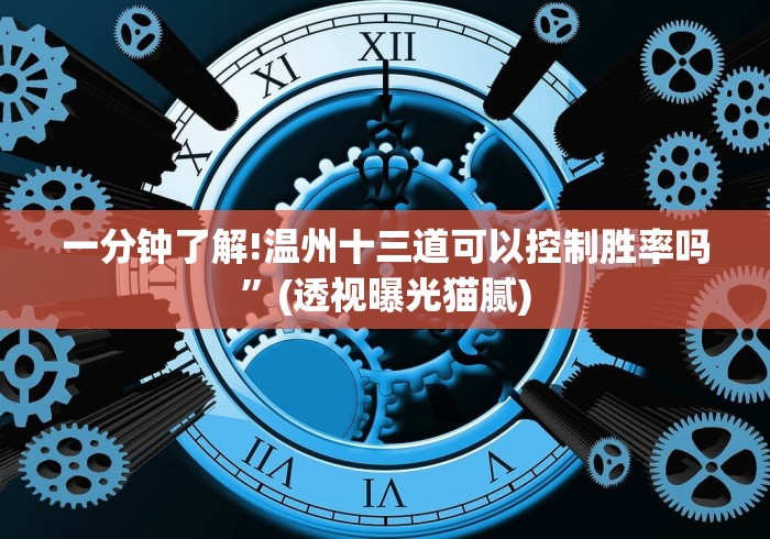 一分钟了解!温州十三道可以控制胜率吗”(透视曝光猫腻)