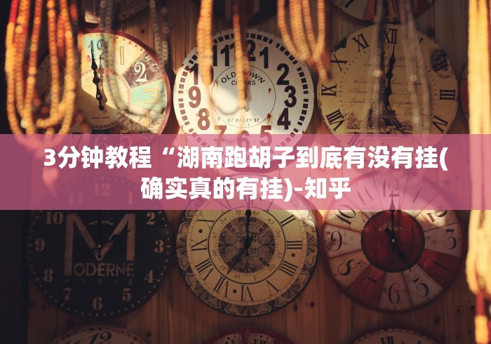 3分钟教程“湖南跑胡子到底有没有挂(确实真的有挂)-知乎