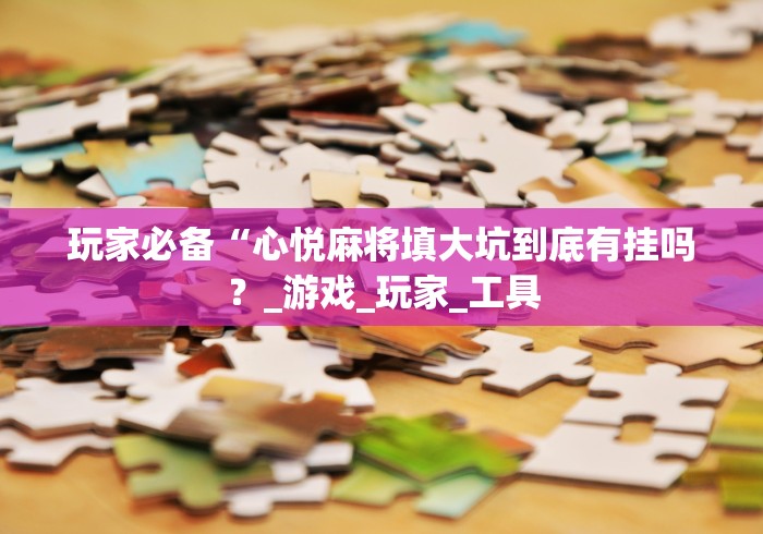 玩家必备“心悦麻将填大坑到底有挂吗？_游戏_玩家_工具